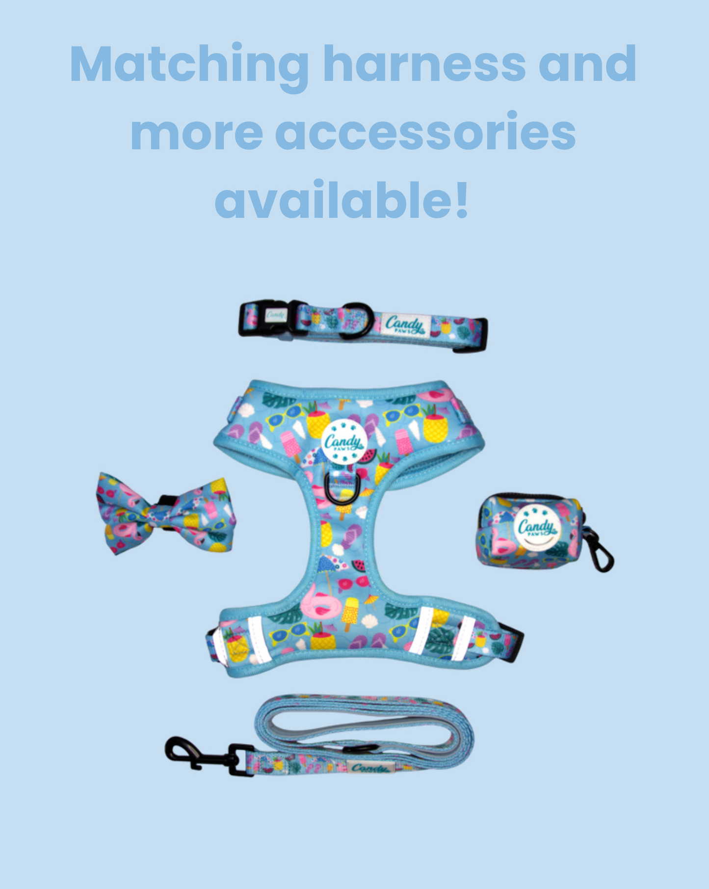 Collar: Pool-A-Palooza