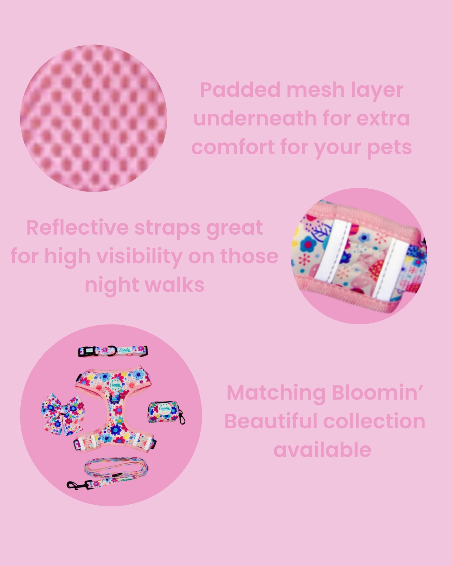 Standard Harness: Bloomin' Beautiful