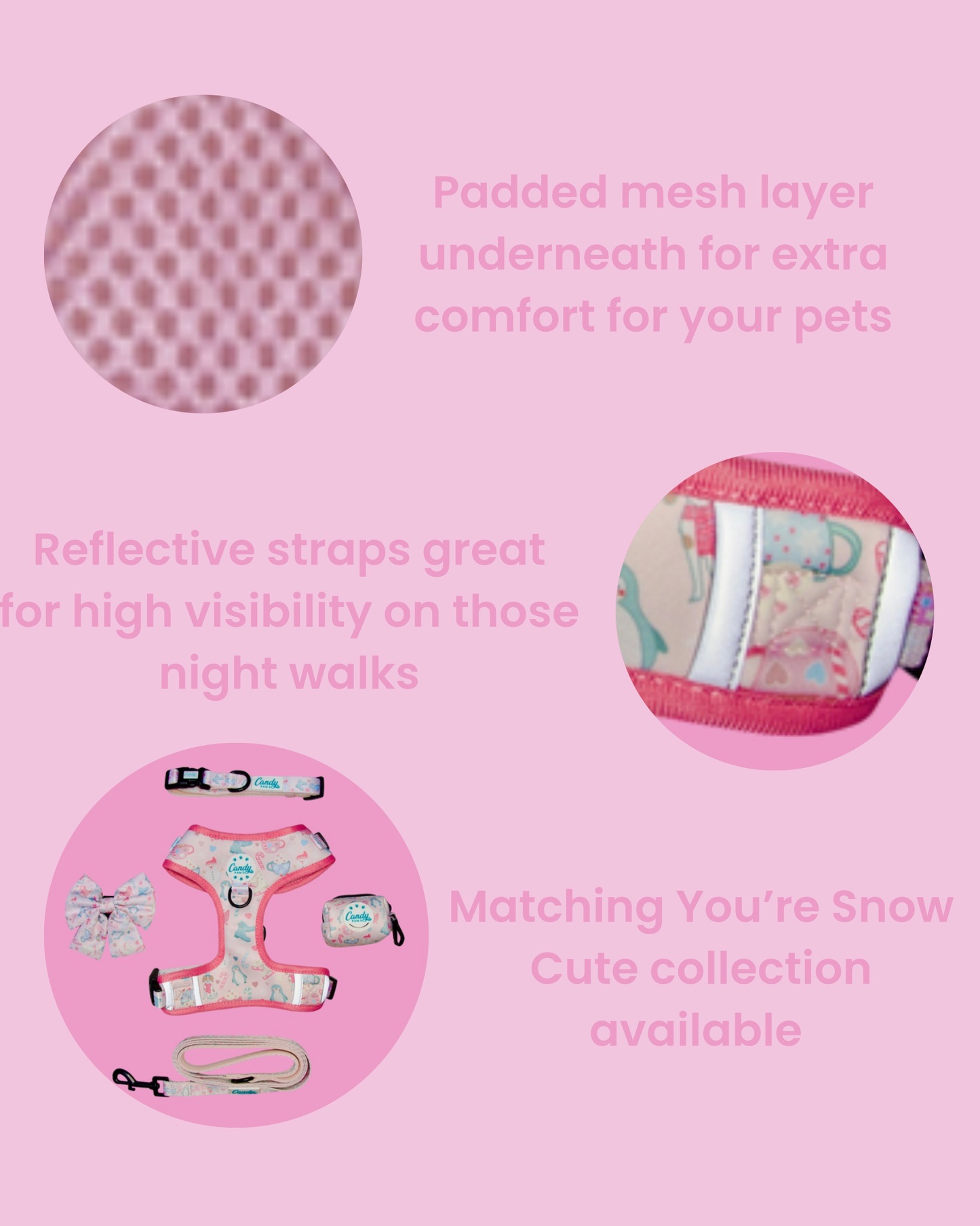 Standard Harness: You're Snow Cute