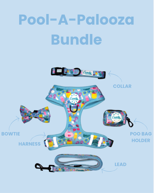 Pool-A-Palooza Bundle