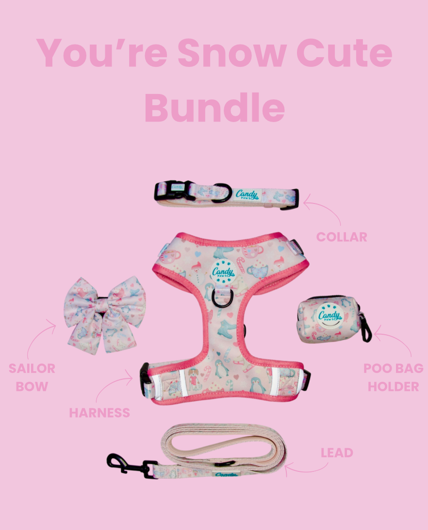 You're Snow Cute Bundle