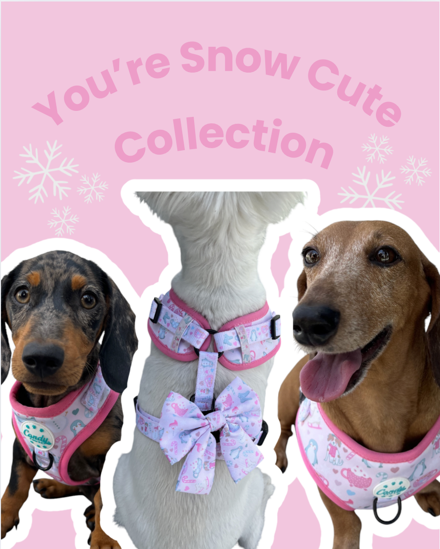 You're Snow Cute Bundle