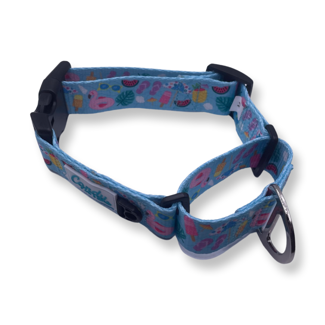 Martingale Collar: Pool-A-Palooza