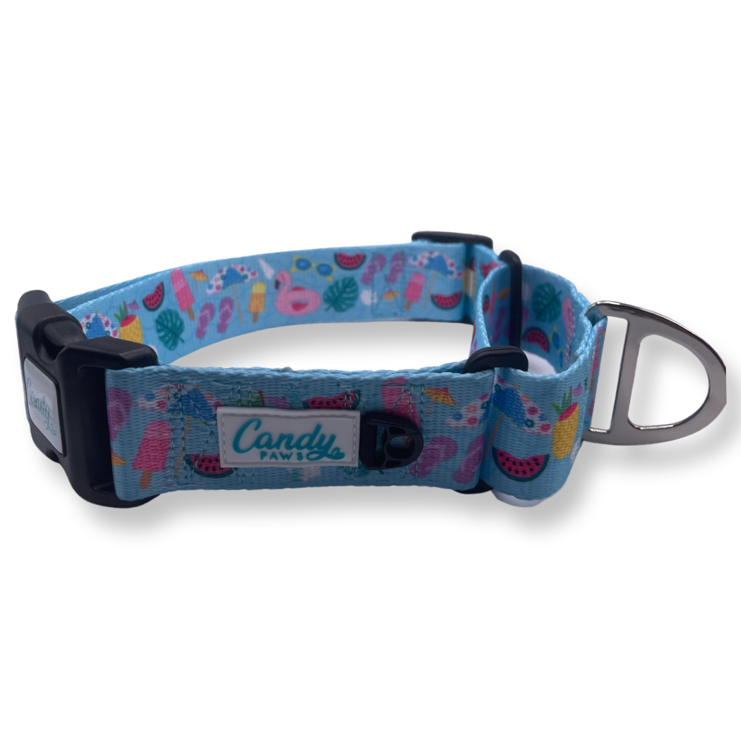 Martingale Collar: Pool-A-Palooza