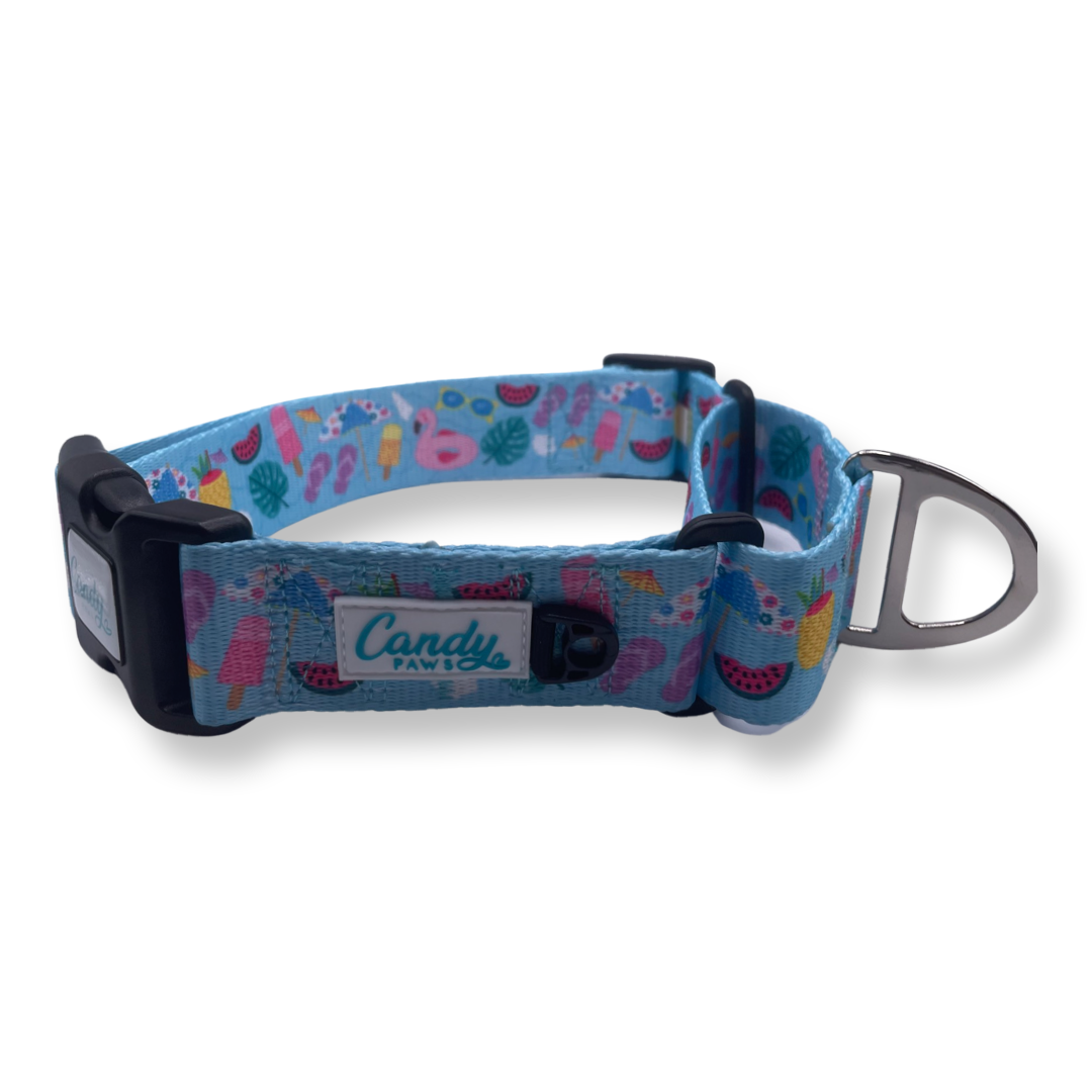 Martingale Collar: Pool-A-Palooza