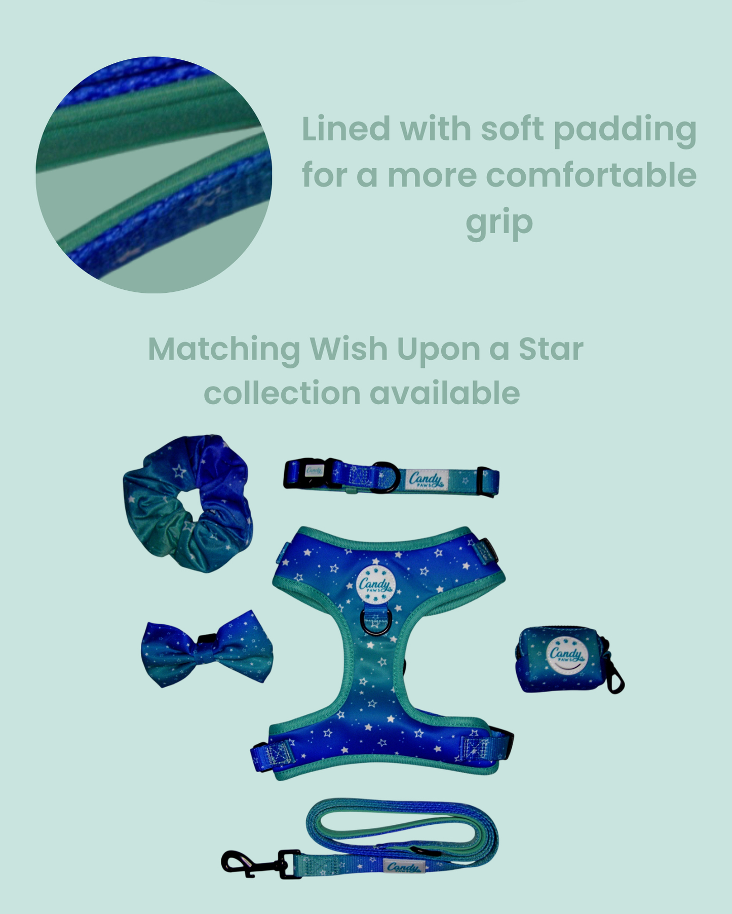 Lead: Wish Upon A Star