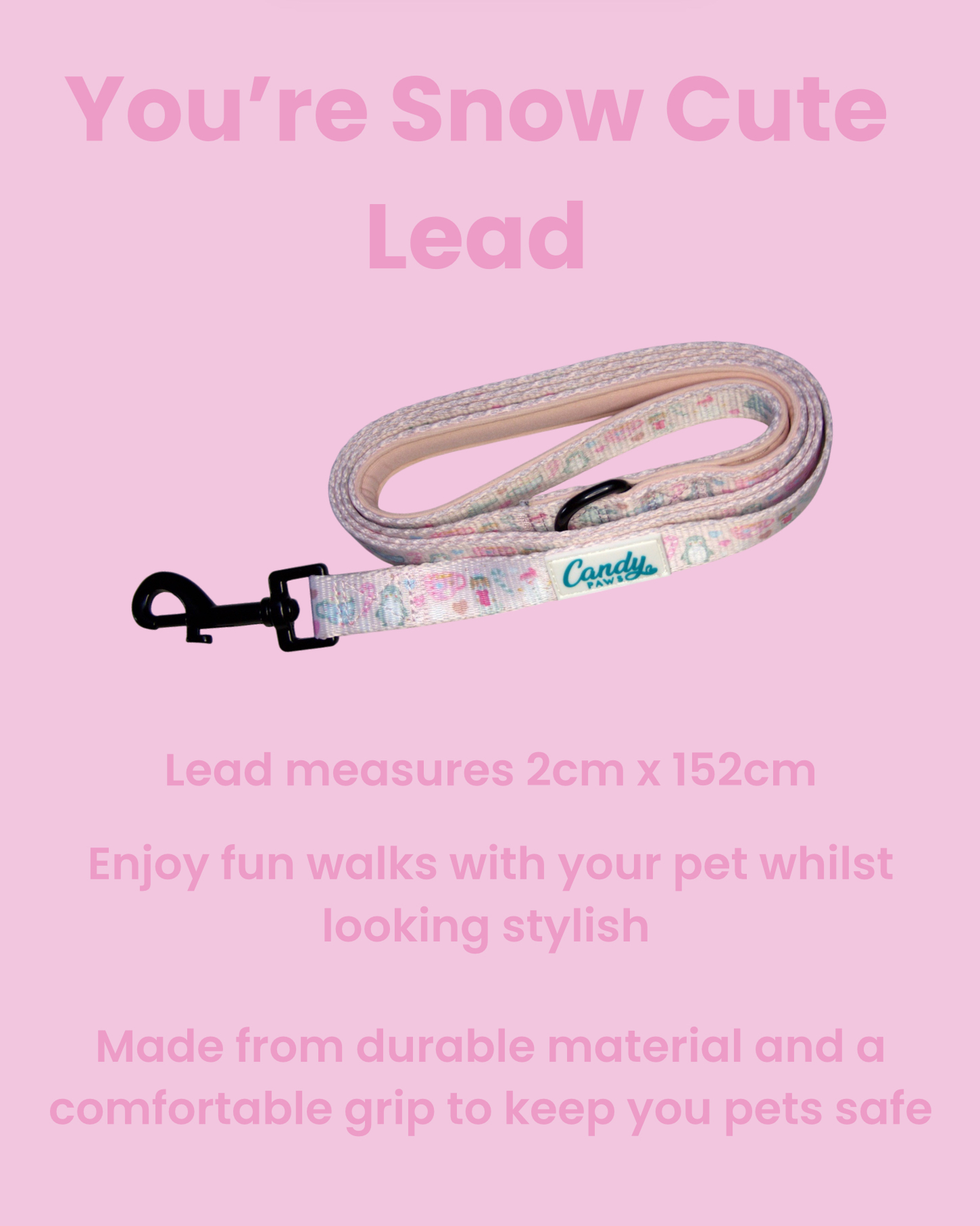 Lead: You're Snow Cute