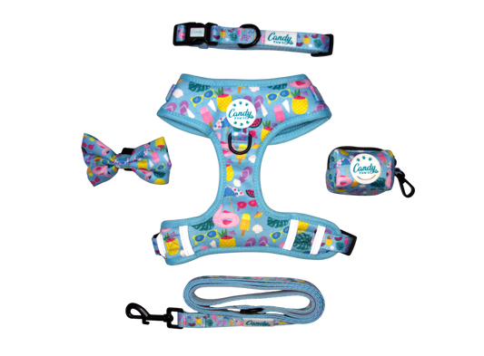 Pool-A-Palooza Bundle