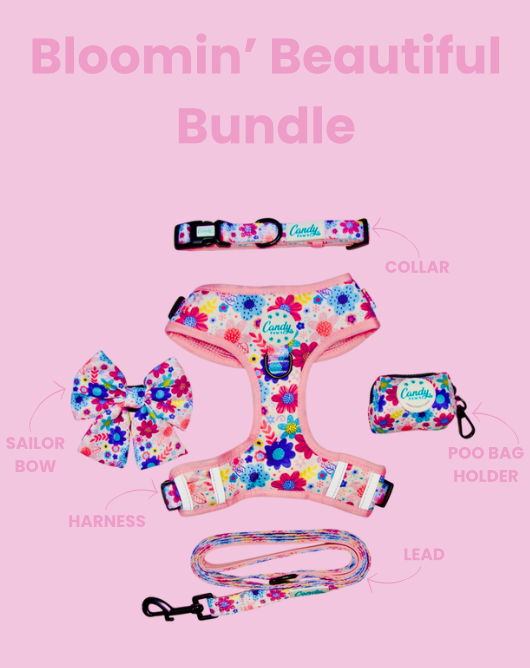 Bloomin' Beautiful Bundle