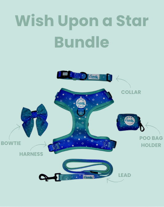 Wish Upon a Star Bundle