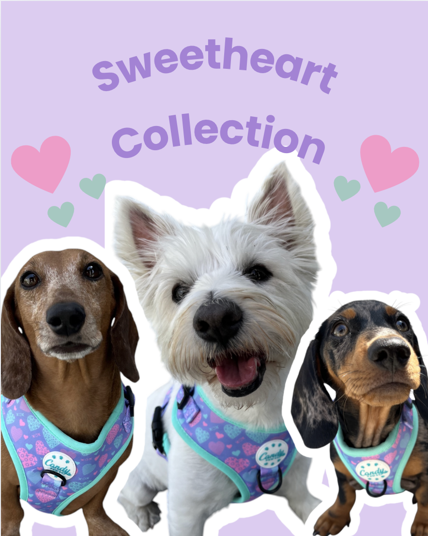 Sweetheart Bundle