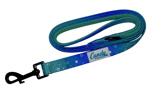 Lead: Wish Upon A Star