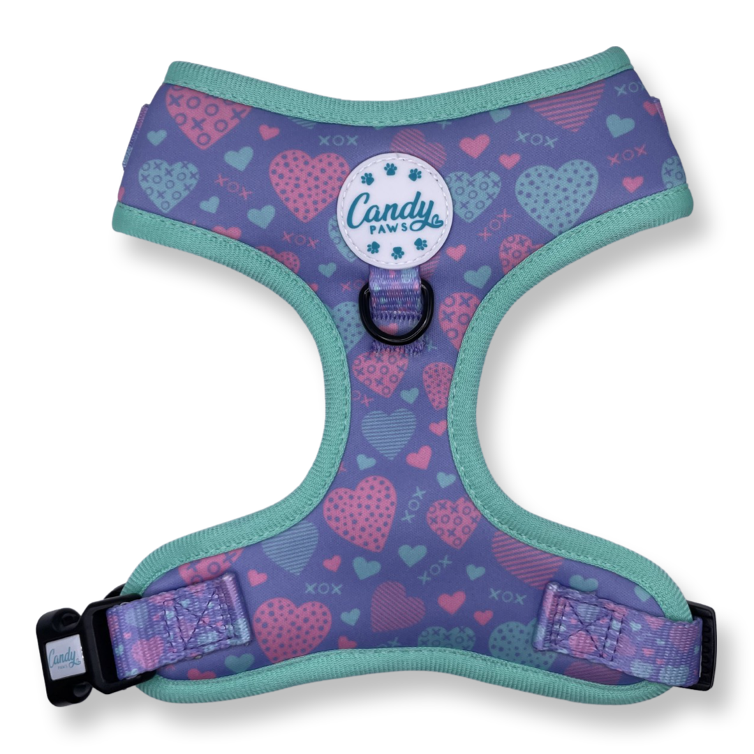 Standard Harness: Sweetheart