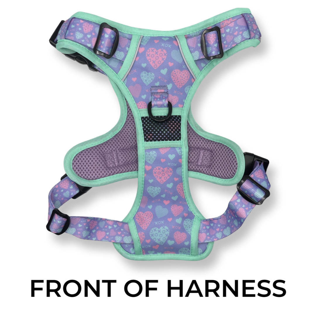 EasyFlex Harness: Sweetheart