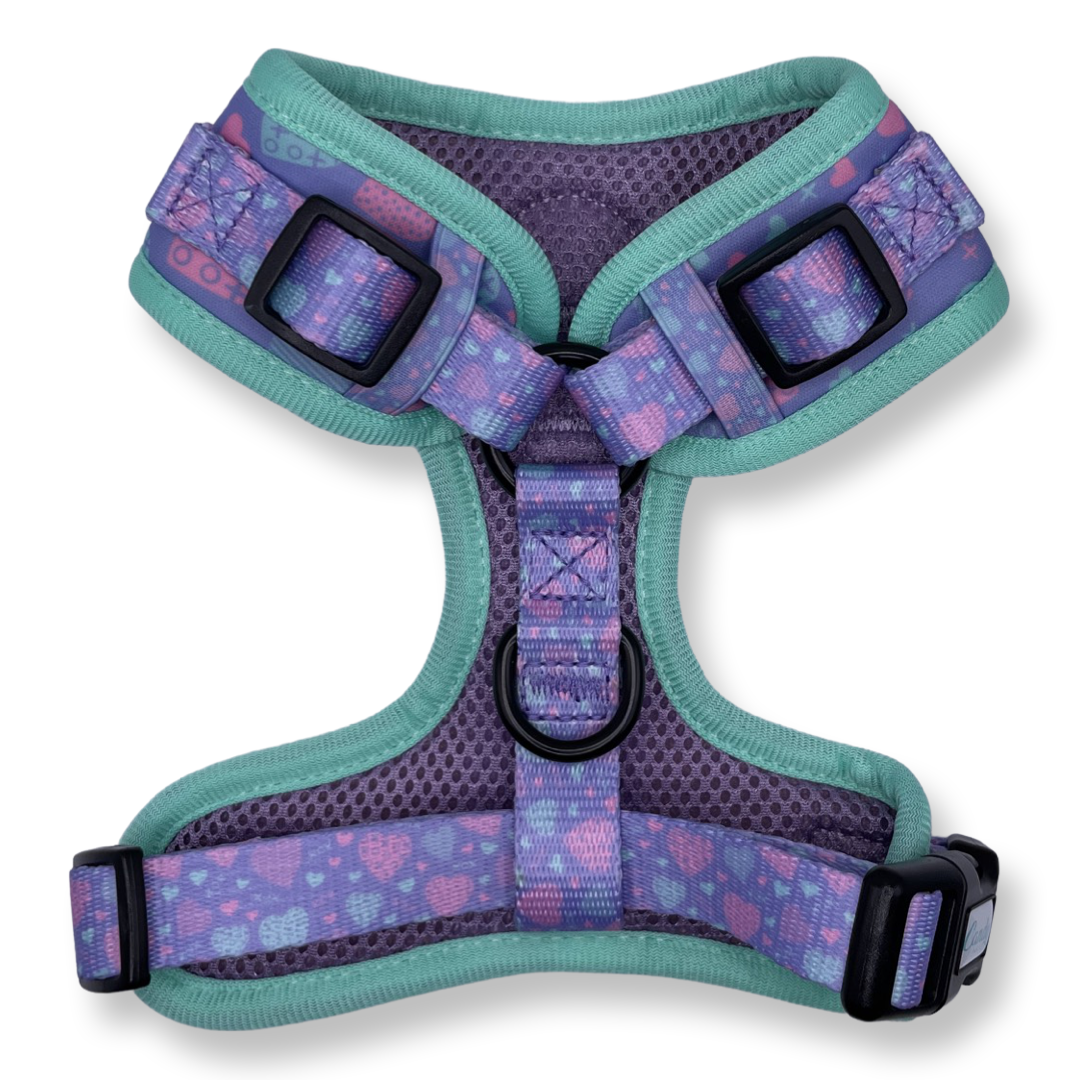 Standard Harness: Sweetheart