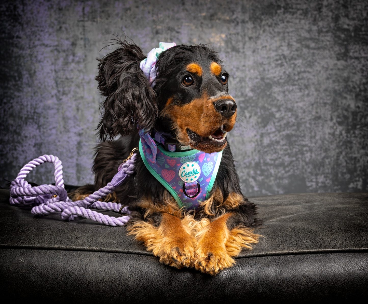 Scrunchie: Sweetheart