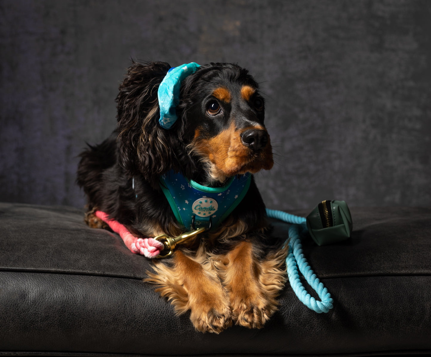 Scrunchie: Wish Upon A Star