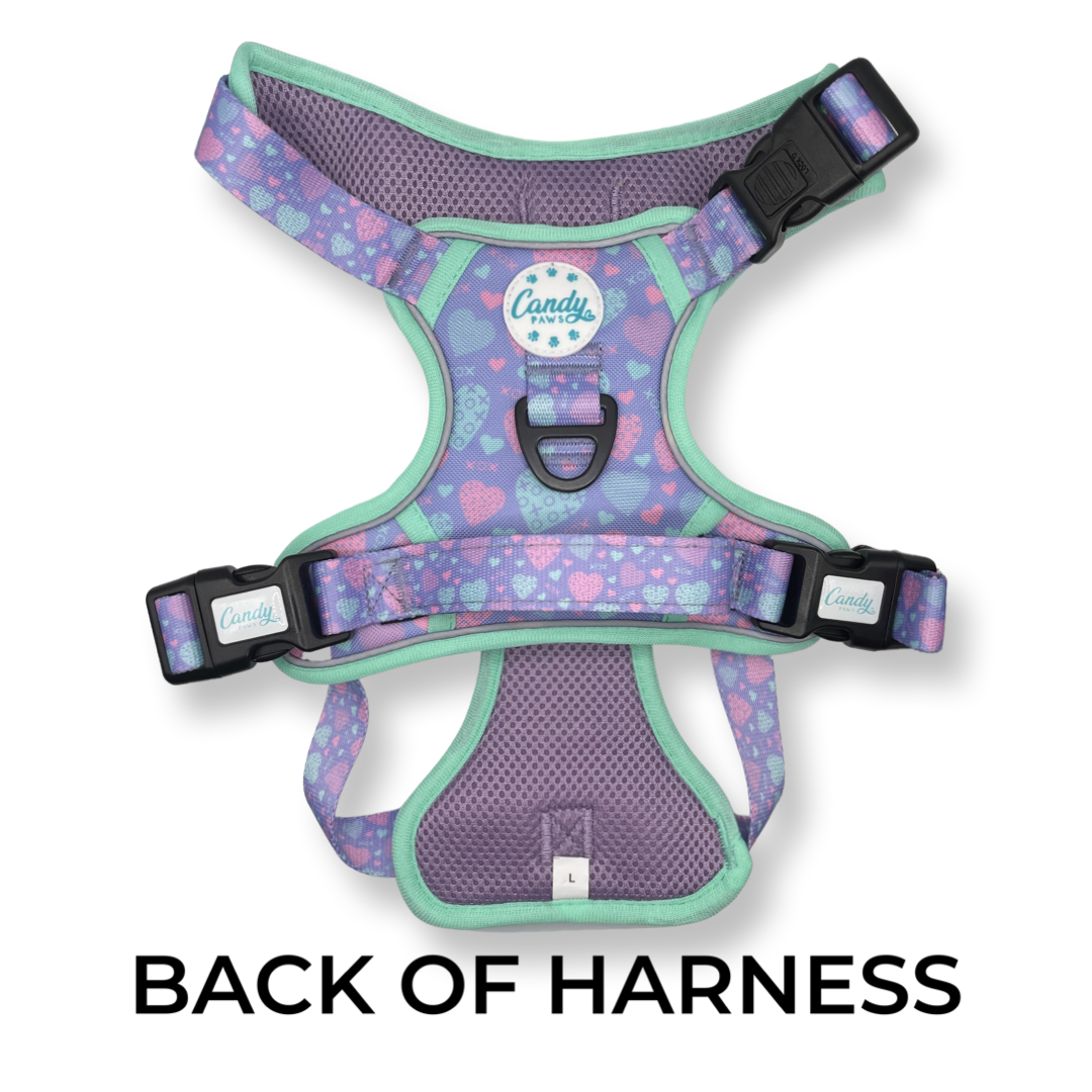 EasyFlex Harness: Sweetheart